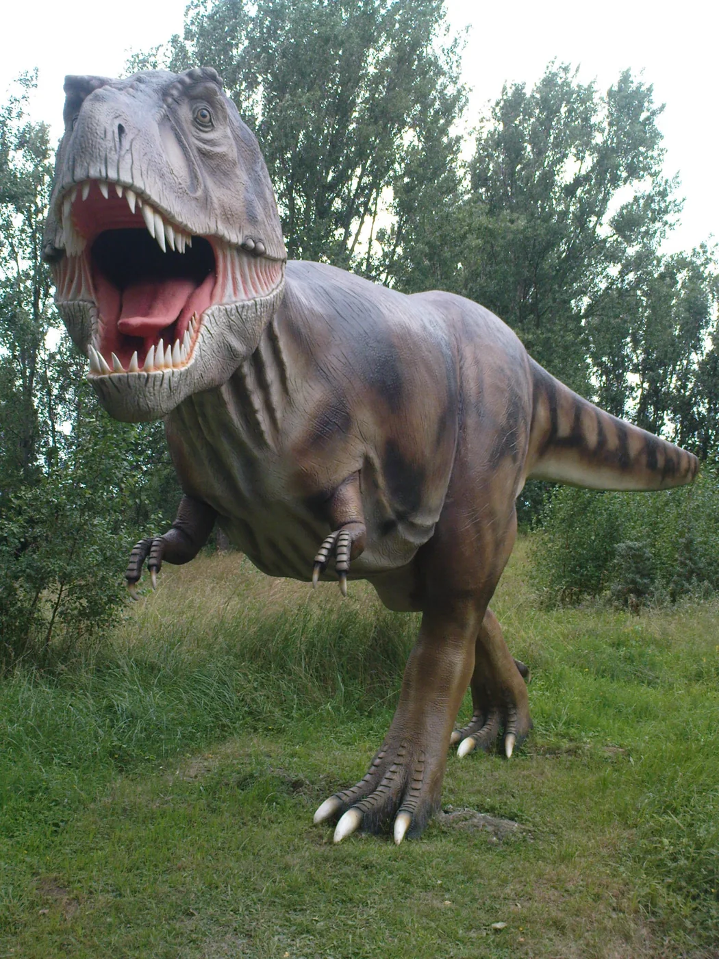 Tyrannosaurus Rex im Dinosaurierland Rügen bei Glowe