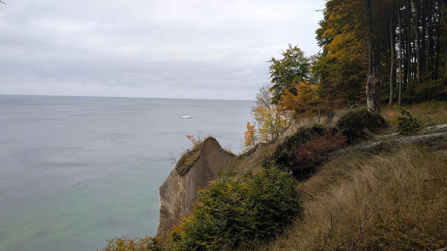 Herbstliche Kreideküste im Nationalpark Jasmund auf Rügen