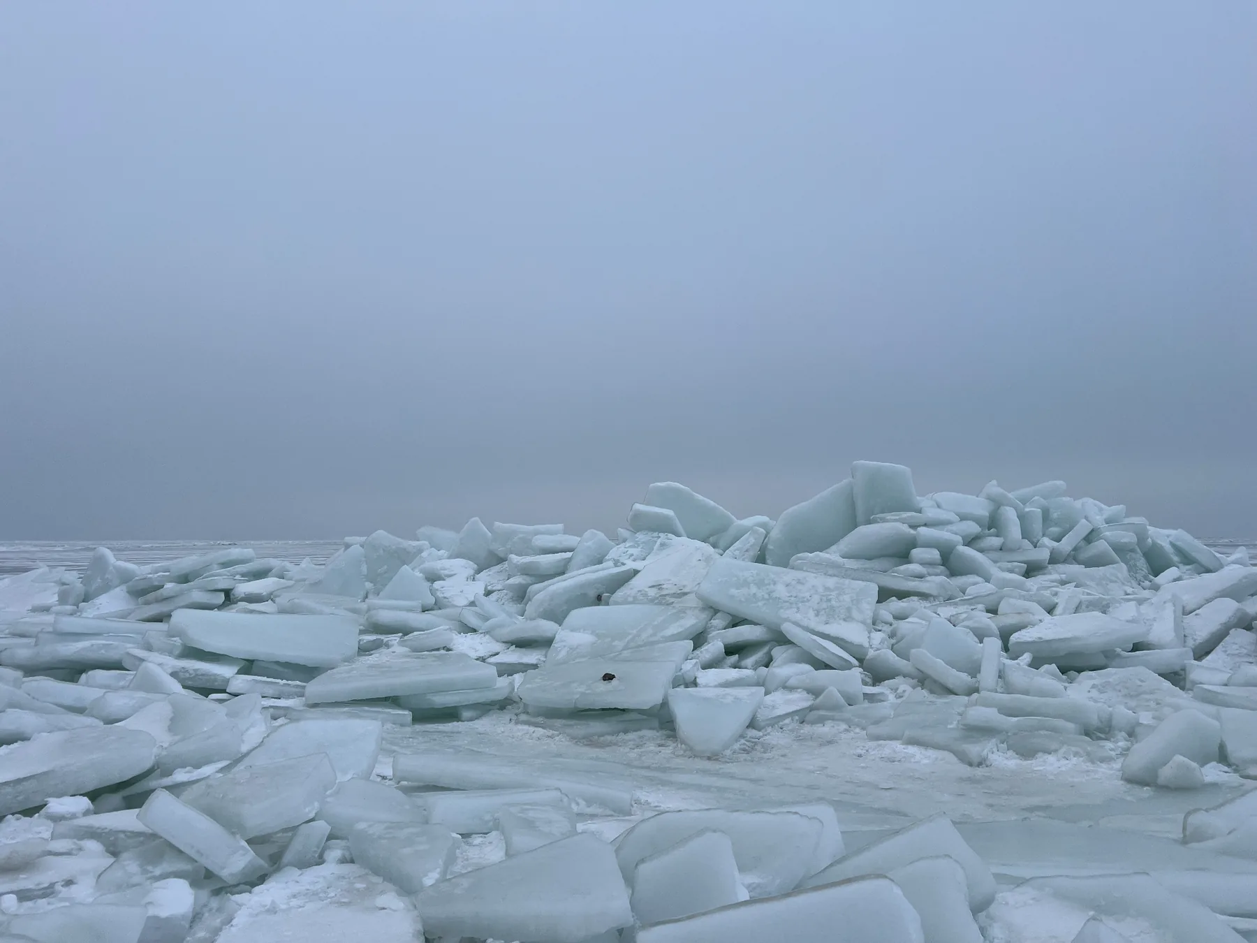 Winter auf Rügen mit Eis am Greifswalder Bodden bei Zudar